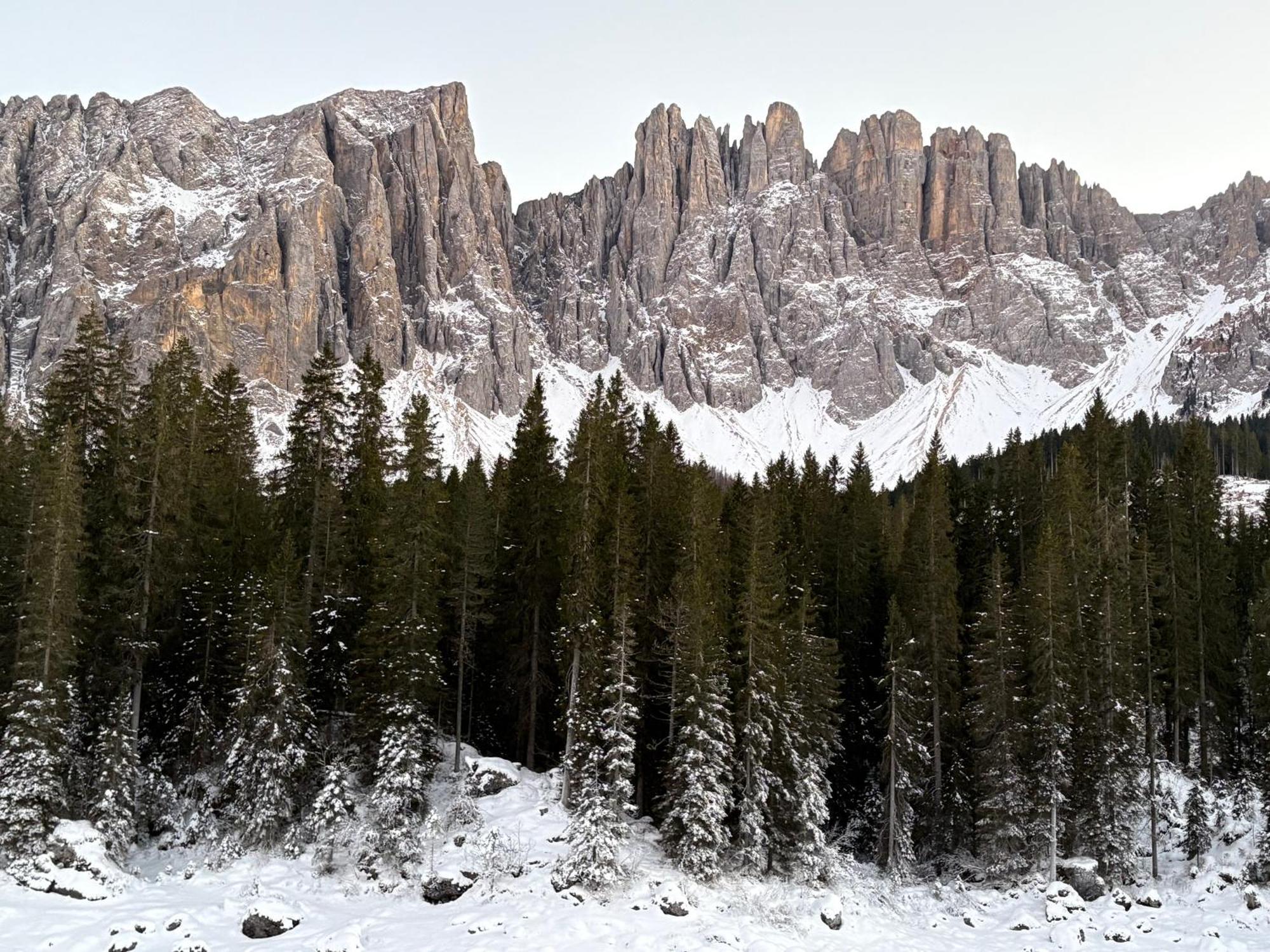 Chalet Tschattlhof Dolomites *
